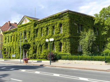 Güneşli bir günde yeşil sarmaşıkla kaplı tarihi bina.