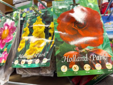 Holland Park 'tan canlı çiçekler içeren renkli tohum paketleri.