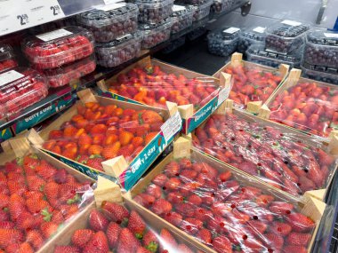 Market vitrininde taze çilek ve böğürtlen.