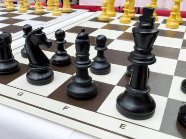 Siyah beyaz taşlarla stratejik satranç oyunu.