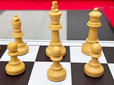 Siyah beyaz tahta üzerinde satranç taşlarının yakın çekimi: papaz, kız, fil, piyon.