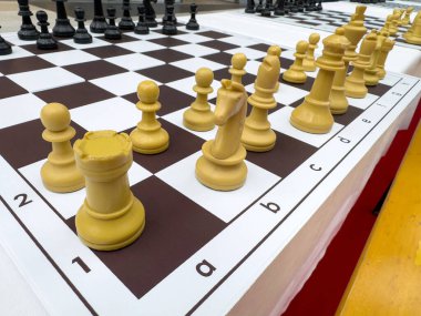 Satranç taşları yakın çekim görüntüsünde oyuna hazır..