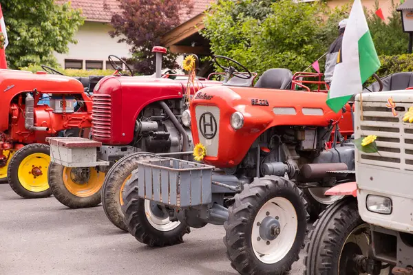 Vintage traktörler güneşli bir günde açık havada sergilenir..