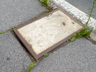 Asfalt üzerinde büyüyen yabani otlarla birlikte yaşlanmış beton araç kaplaması.