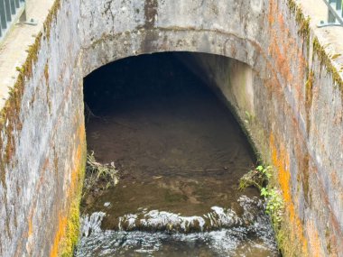 Su, yosunlu duvarları olan eski beton drenaj tünelinden akıyor..
