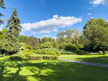 Sunny day in a green park with lush trees and blue sky.