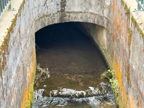 Su, yosunlu duvarları olan eski beton drenaj tünelinden akıyor..