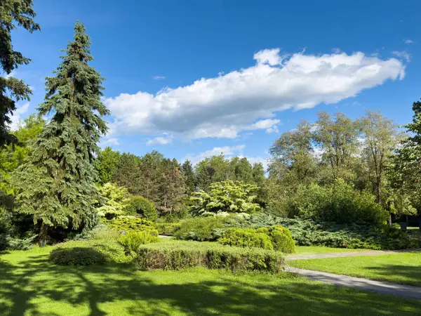 Bereketli yeşillik ve güneşli bir günde mavi gökyüzü ile Serene Park manzarası.