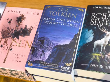 Bir kitapçıda sergilenen fantezi kitaplarının seçimi.