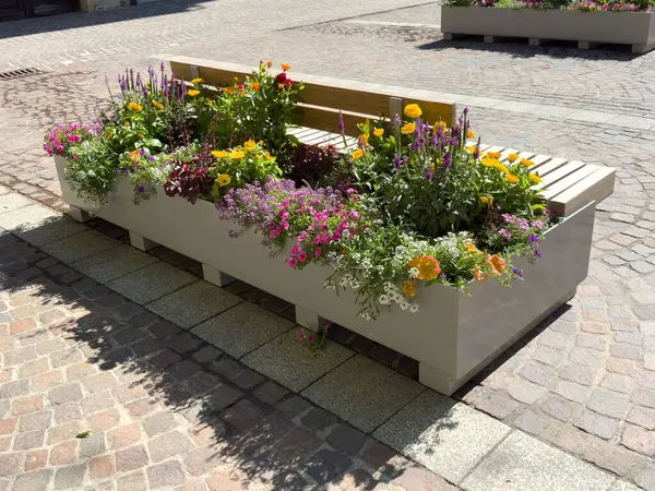 Güneşli şehir ortamında canlı çiçek ekme tezgahı.