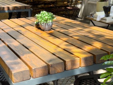 Dışarıda güneşli kafeterya ortamında saksı bitkisi olan ahşap bir teras masası..