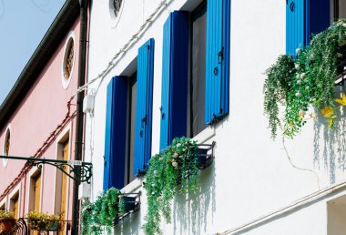 Burano, İtalya - 25 Haziran 2025: Mavi kepenkler ve yemyeşil bitkiler içeren güzel bir dış bina, cazibe ve karakter dolu canlı bir şehir ortamı yaratıyor