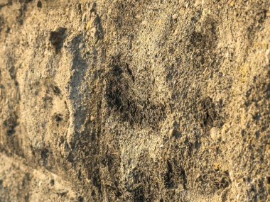 Kaba desenli taş duvar yüzeyinin doğal ışık altında yakın görüntüsü.