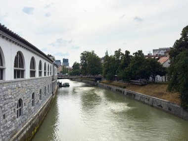 Ljubljana, Slovenya - 06 Temmuz 2025: Güzel Ljubljanica Nehri tarihi taş mimari ve ağaçların yanında akıyor, sakin bir kent manzarası sergileniyor
