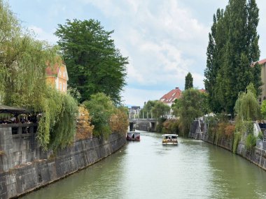 Ljubljana, Slovenya - Temmuz 06, 2025: Su yolu boyunca uzanan yemyeşil kayıklar ve tarihi binaların bulunduğu güzel bir kasabada sakin bir kanal sahnesi