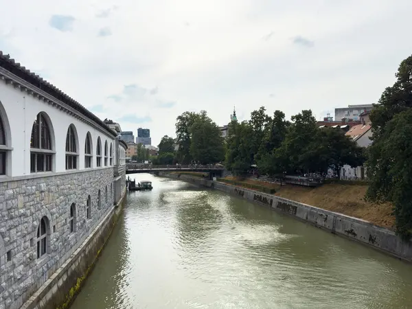 Ljubljana, Slovenya - 06 Temmuz 2025: Güzel Ljubljanica Nehri tarihi taş mimari ve ağaçların yanında akıyor, sakin bir kent manzarası sergileniyor