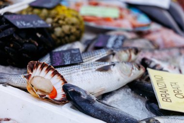 Villach, Avusturya - 11 Temmuz 2025: Canlı deniz ürünleri pazarı sahnesi, taze balık, kabuklu deniz ürünleri ve yerel avları ve mutfak seçeneklerini ön plana çıkaran renkli etiketler