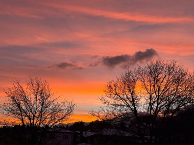 Siluetli ağaçlar ve renkli gökyüzü ile canlı kış günbatımı.