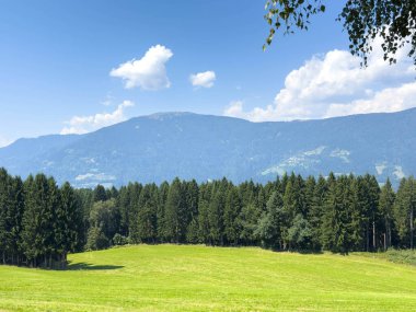 Yeşil tarlalı güneşli dağ manzarası ve mavi gökyüzünün altındaki uzak orman.