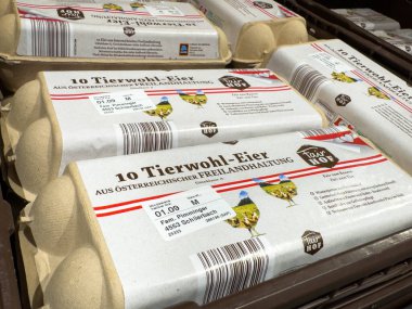 Villach, Avusturya - 21 Ağustos 2025: Yumurta kartonunda Avusturya 'nın serbest tarım çiftliklerinden 10 Tierwohl-Eier sergilenirken, market alışverişinde kalite ve sürdürülebilirlik vurgulandı