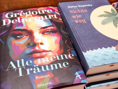 Villach, Austria - September 28, 2025: Vibrant book covers of 