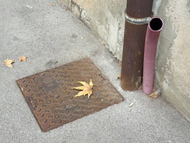 Urban scene with manhole cover, fallen leaves, and rusty pipe.
