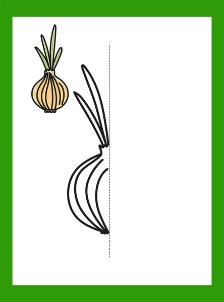 Dibuja Dibujo Verduras Cebolla Imagen Vectorial Desarrollo Infantil — Vector de stock