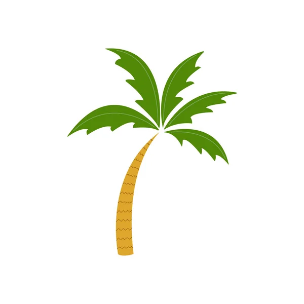 Palmiye Ağacının Grafiksel Vektör Görüntüsü Avuç — Stok Vektör
