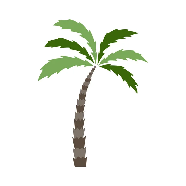 Grafische Vectorafbeelding Van Een Palmboom — Stockvector