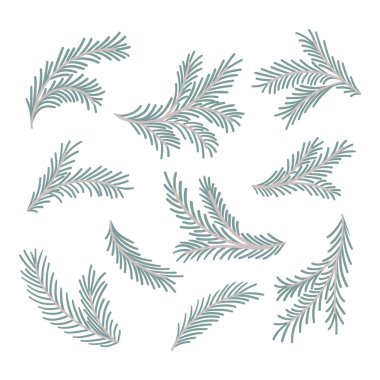 Noel ağacı dalı, her zaman yeşil olan ağaç, Noel ağacı, Noel süsü. Beyaz arkaplanda köknar dalları var. Vektör