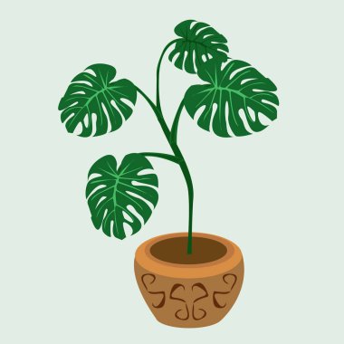 Kahverengi tencereye desenli bir bitki koy, canavar. Süsleme, iç simülasyon ve daha fazlası için, beyaz arkaplanda izole edilmiş vektör illüstrasyonu.