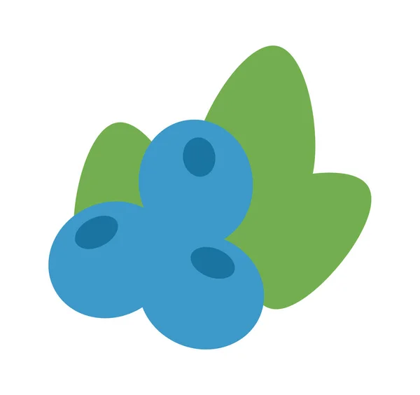 Blueberry Leaves Vector Illustration — Stock Vector
