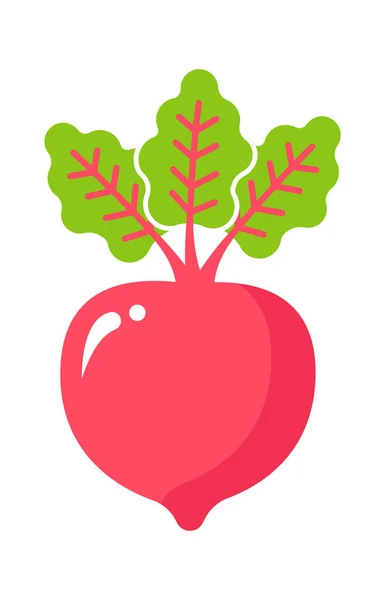 Овощная Икона Репы Здоровое Питание Векторная Иллюстрация — стоковый вектор