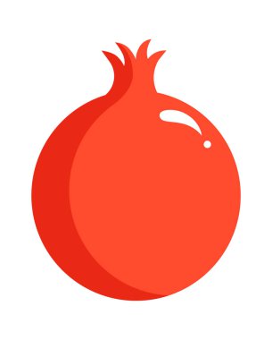 Nar meyvesi. Sağlıklı yiyecekler. Vektör illüstrasyonu