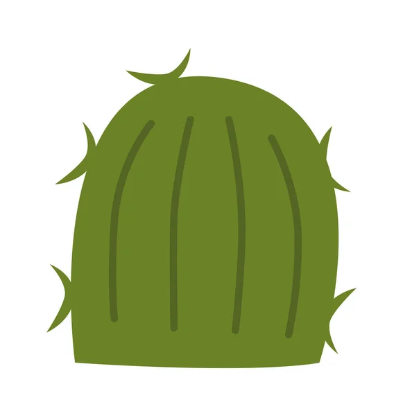 Kaktus Platt Ikon Evergreen Exotisk Växt Potten Hem Trädgårdsskötsel Vektorillustration — Stock vektor