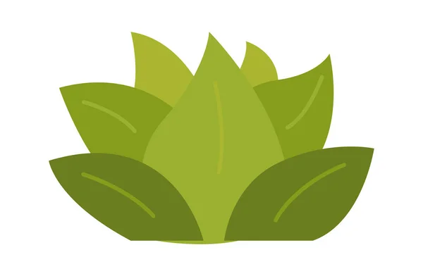 Icône Plate Plante Succulente Verte Accueil Jardinage Plante Intérieur Illustration — Image vectorielle