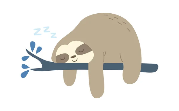 Cute Sleeping Sloth Branch Flat Icon Vector Illustration — Stock Vector