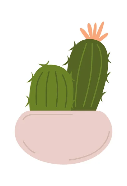 Kaktusová Ikona Evergreen Exotická Rostlina Květináči Domácí Zahradničení Vektorová Ilustrace — Stockový vektor