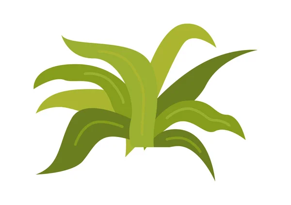 Litina Rostlina Plochá Ikona Zelená Houseplant Domácí Zahradničení Vektorová Ilustrace — Stockový vektor