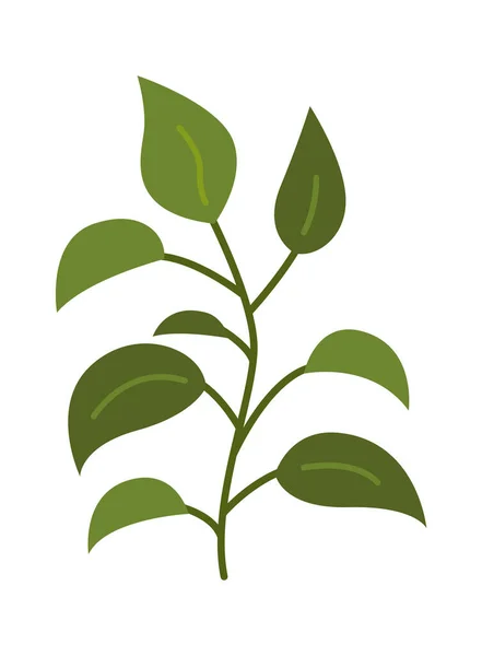 Dumb Cane Plant Flat Icon Green Houseplant Home Gardening Vector — Vettoriale Stock