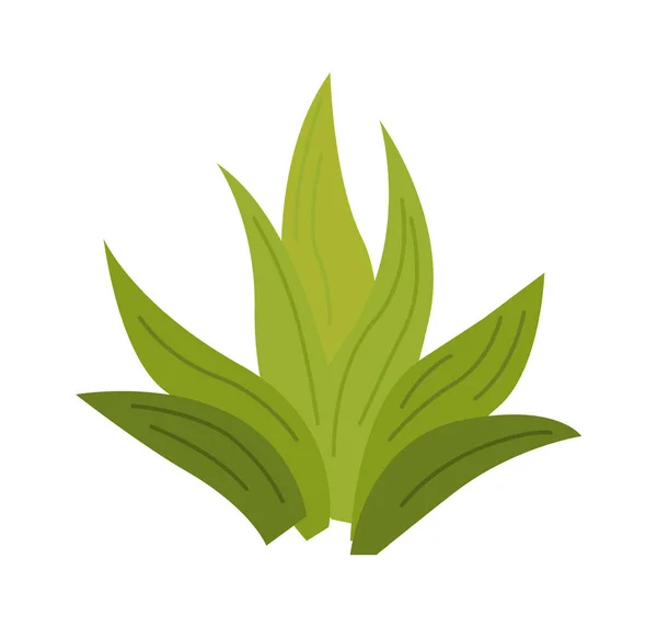 Yeşil Aloe Vera Bitkisi Bahçesi Ikonu Vektör Illüstrasyonu — Stok Vektör