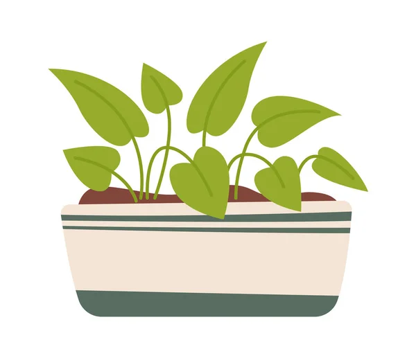 Мультяшна Зелена Рослина Керамічному Горщику Плоский Значок Рослина Векторні Ілюстрації — стоковий вектор