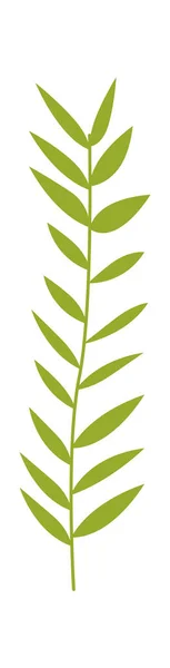 Icono Plano Palma Kentia Planta Verde Jardinería Casera Ilustración Vectorial — Vector de stock