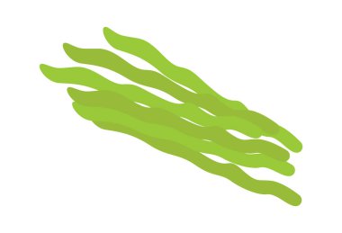 Bitki fasulyesi yassı organik sebzeler. Vektör illüstrasyonu