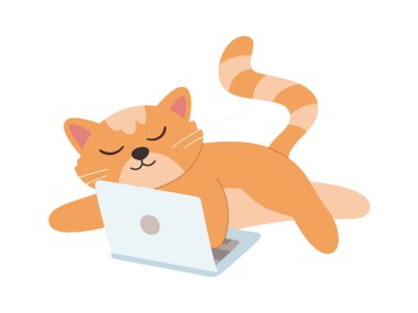 Laptop simgesi Kitty ve zımbırtısıyla tembel ev kedisi. Vektör illüstrasyonu