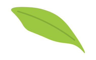 Yeşil yapraklı yassı ikon Matcha tozu hazırlama. Vektör illüstrasyonu