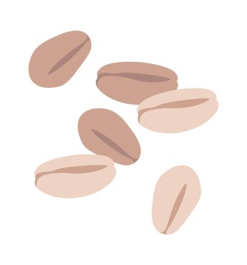 Buğday tanesi düz mısır gevreği tohumu tarımı. Vektör illüstrasyonu