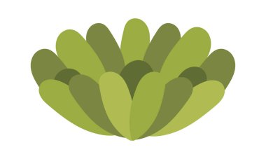 Yeşil sulu düz ikon ev bitkisi dekoru elementi. Vektör illüstrasyonu