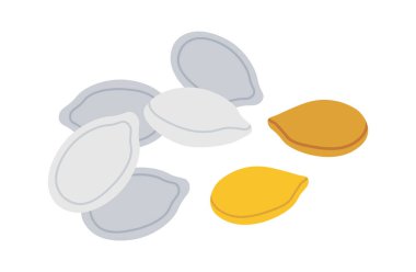 Balkabağı tohumları düz simge sağlıklı vegan bileşeni. Vektör illüstrasyonu