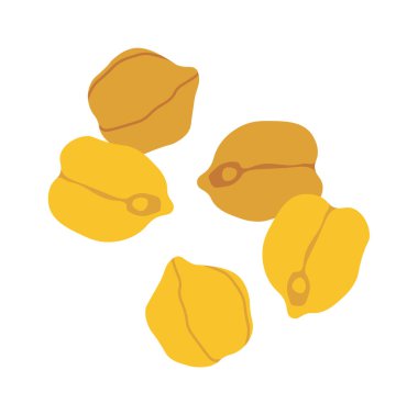 Nohut yassı ikonu tohum ekimi tarım. Vektör illüstrasyonu